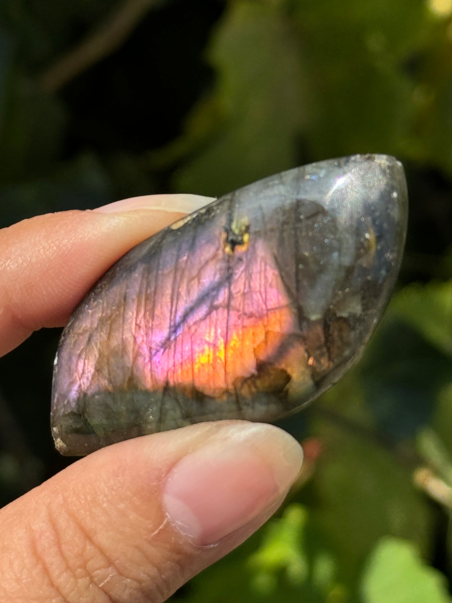 
                  
                    RESERVED LISTING - zombieboy69
                  
                