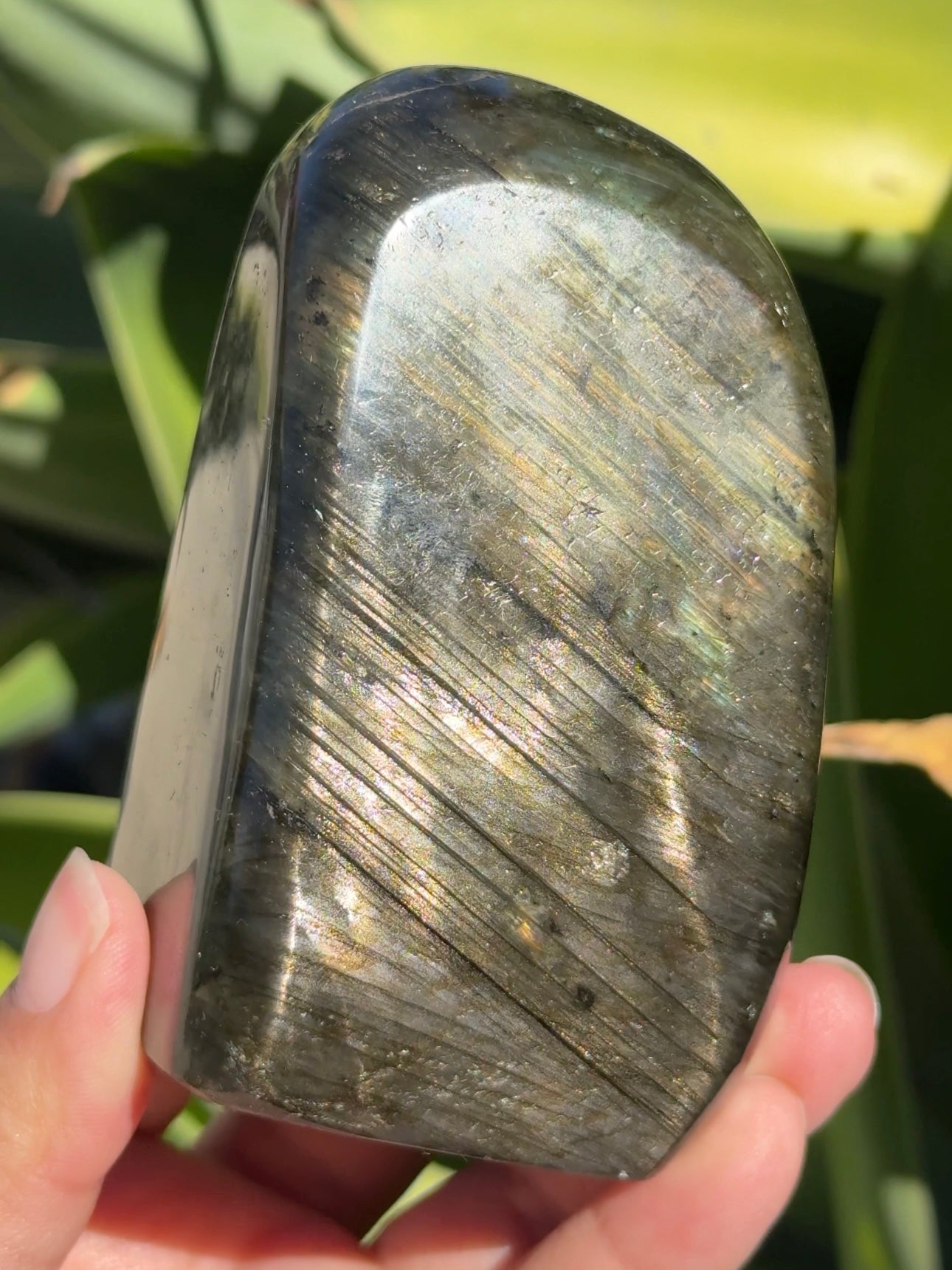 
                  
                    Labradorite Freeform
                  
                