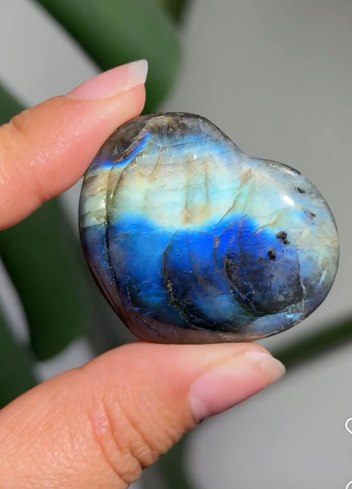 
                  
                    RESERVED LISTING - zombieboy69
                  
                