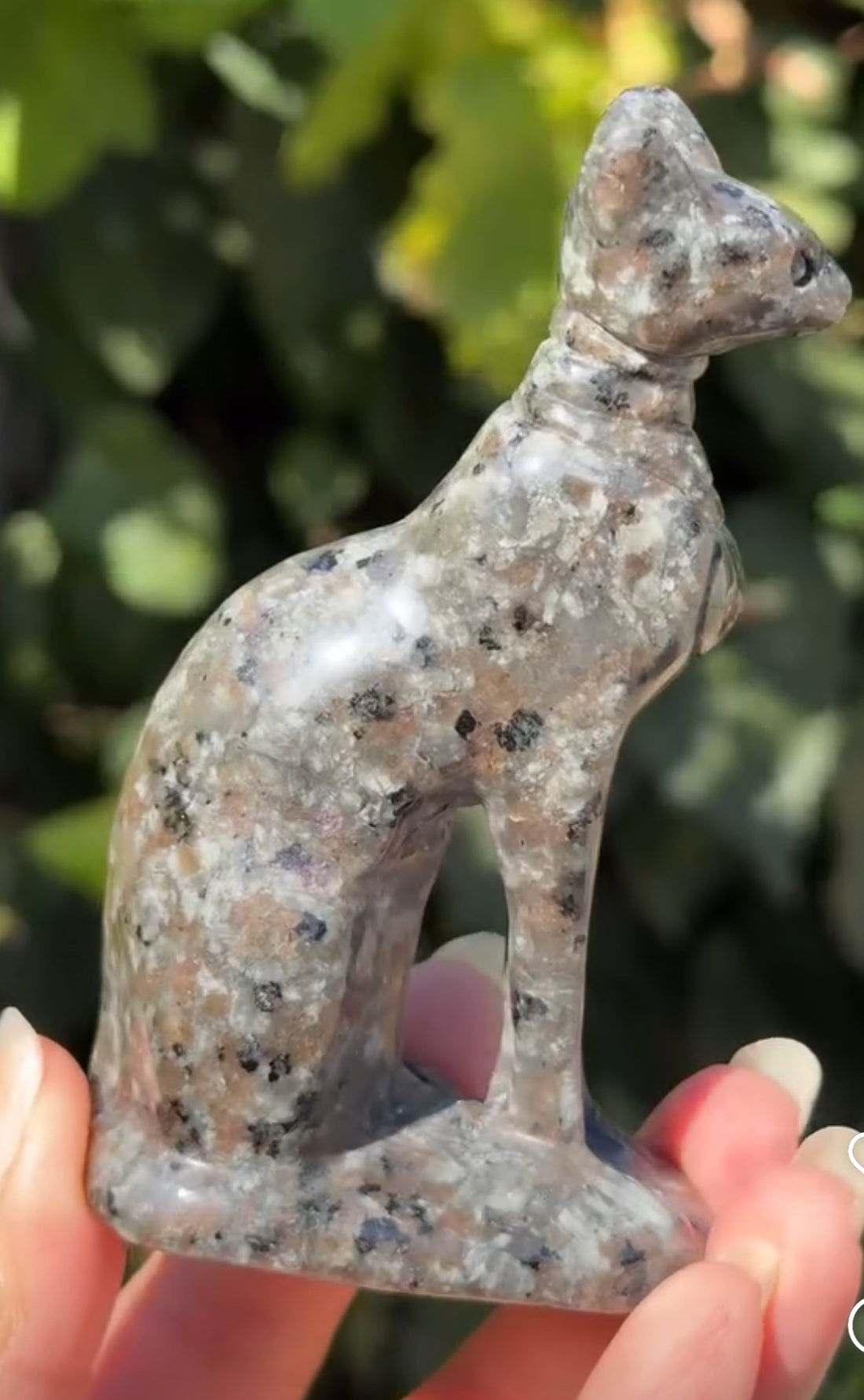 
                  
                    1/2 RESERVED LISTING - angeliqvixen_
                  
                