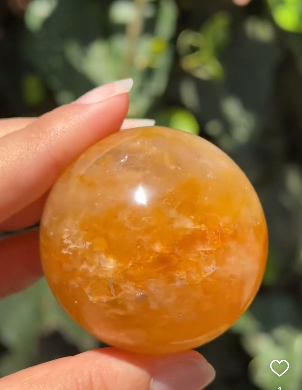 
                  
                    2/3 RESERVED LISTING - angeliqvixen_
                  
                