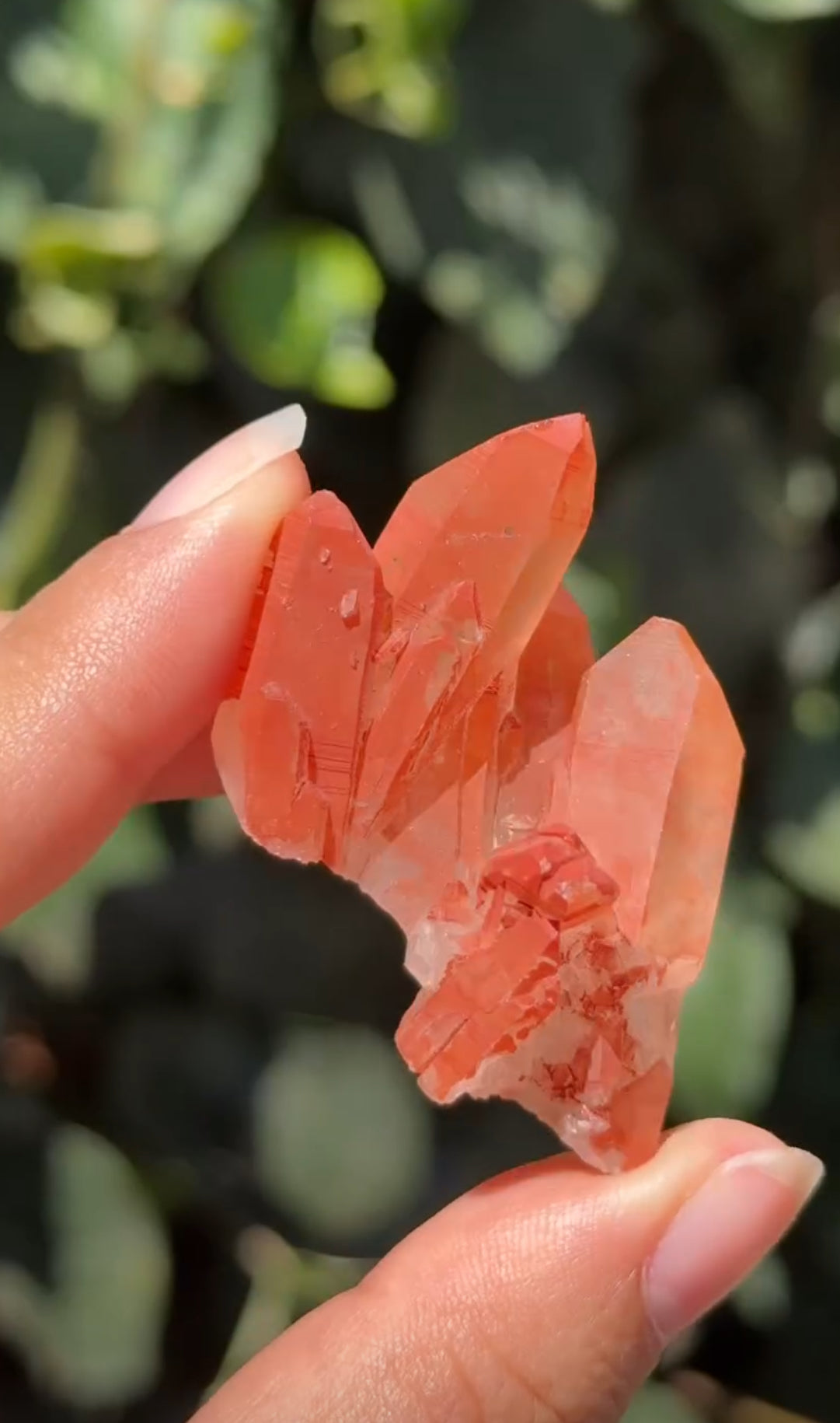 
                  
                    RESERVED LISTING - 4theloveofmygirls
                  
                