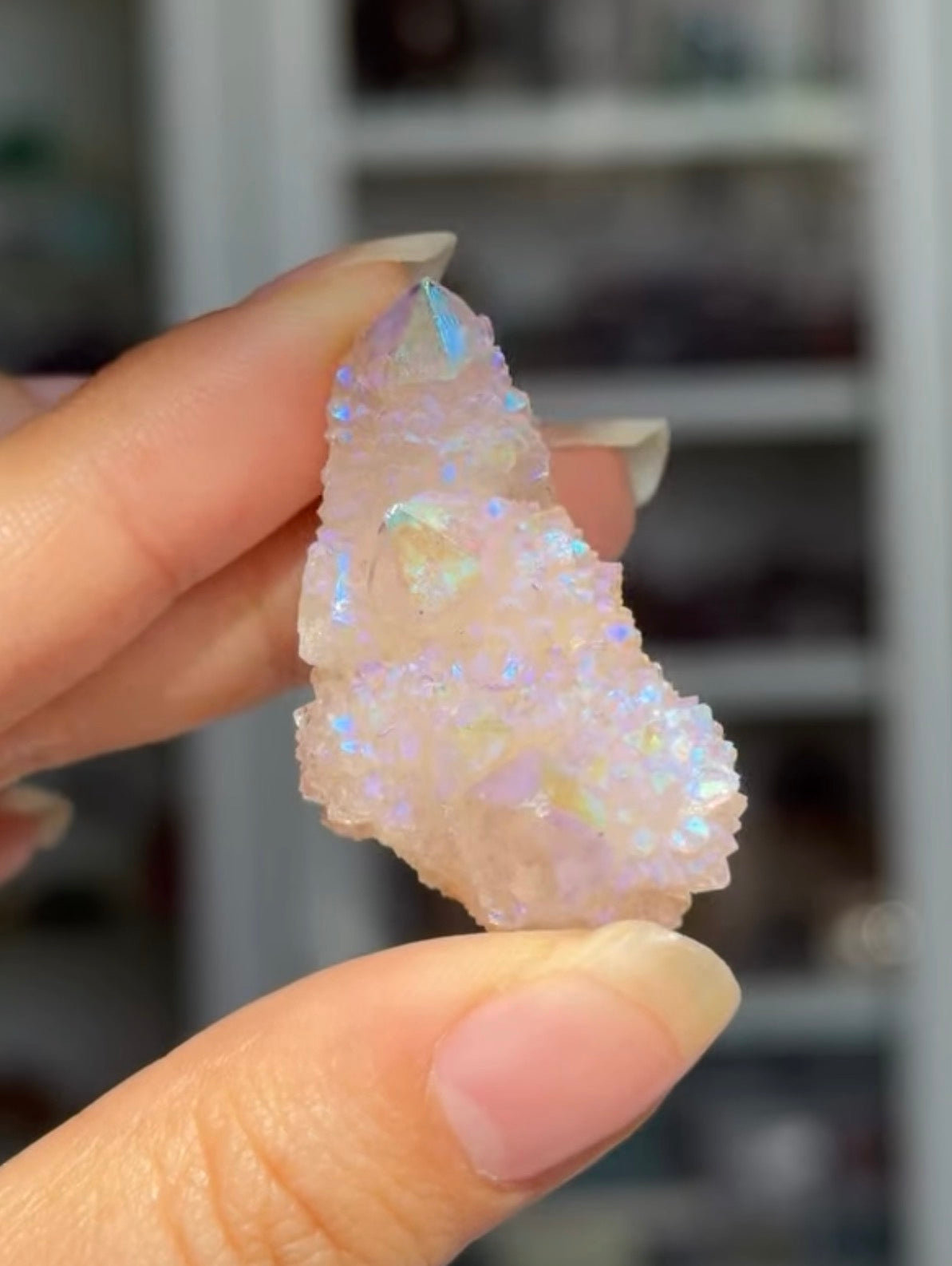 
                  
                    RESERVED LISTING - c_genesisallison87
                  
                