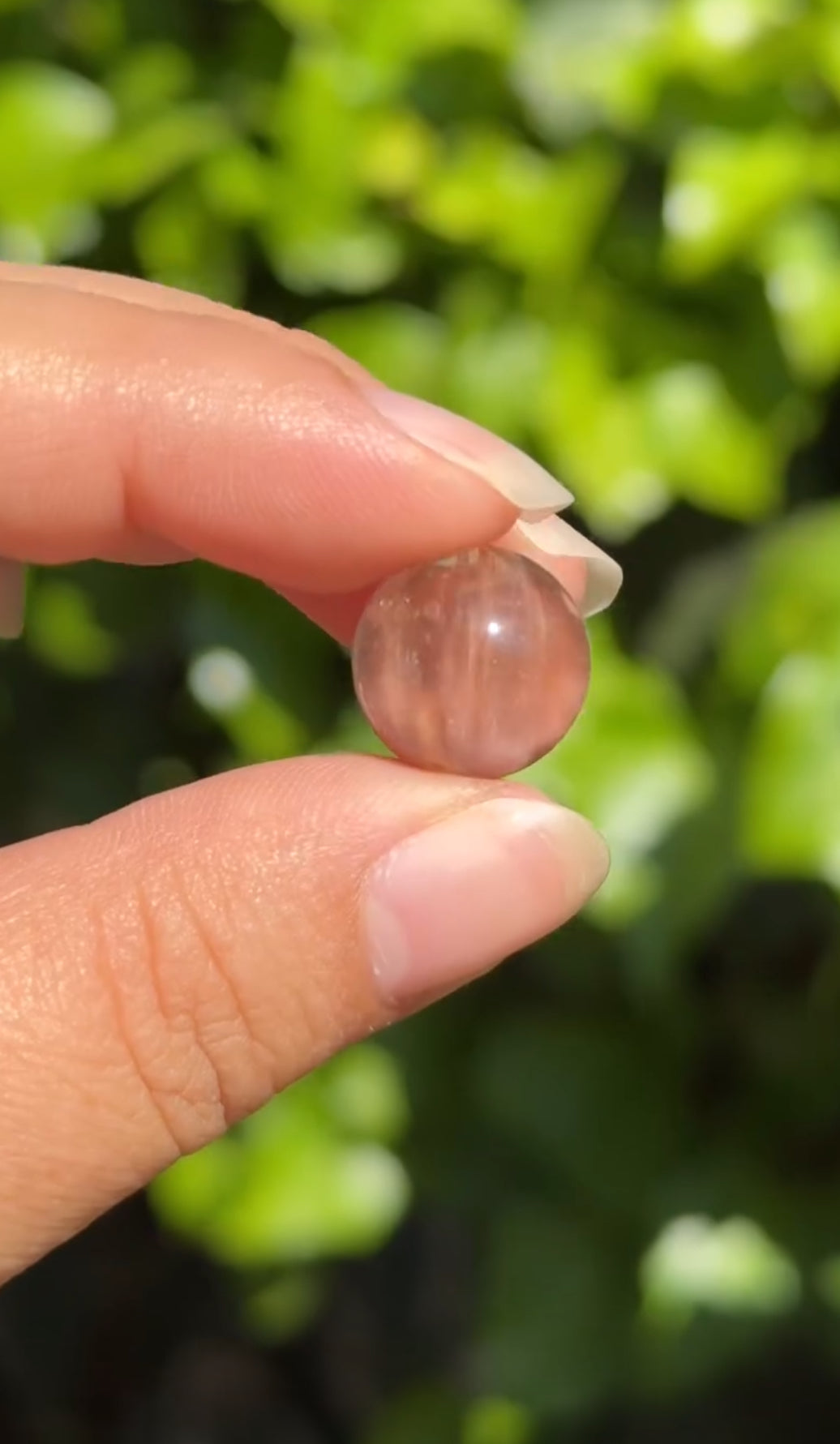 
                  
                    2/3 RESERVED LISTING - angeliqvixen_
                  
                