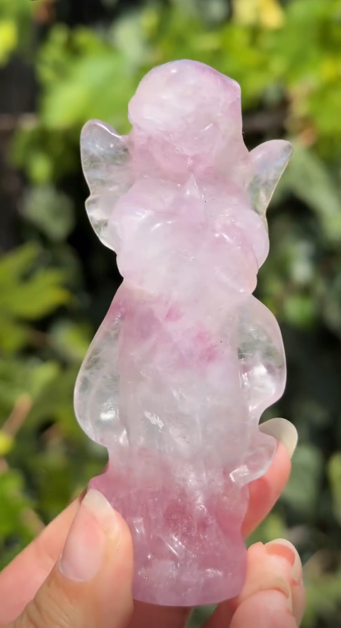 
                  
                    1/2 RESERVED LISTING - angeliqvixen_
                  
                