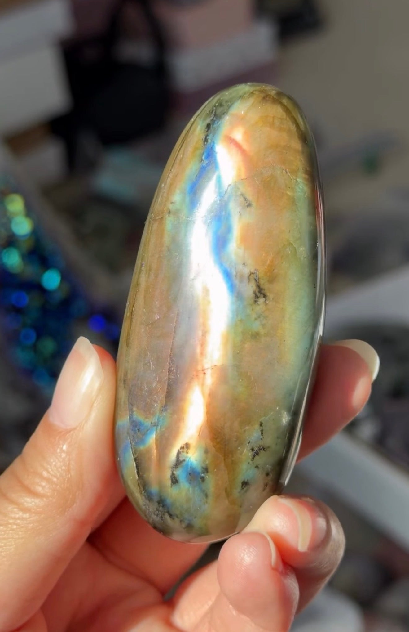 
                  
                    RESERVED LISTING - tammysdolphincrystalpalace23
                  
                