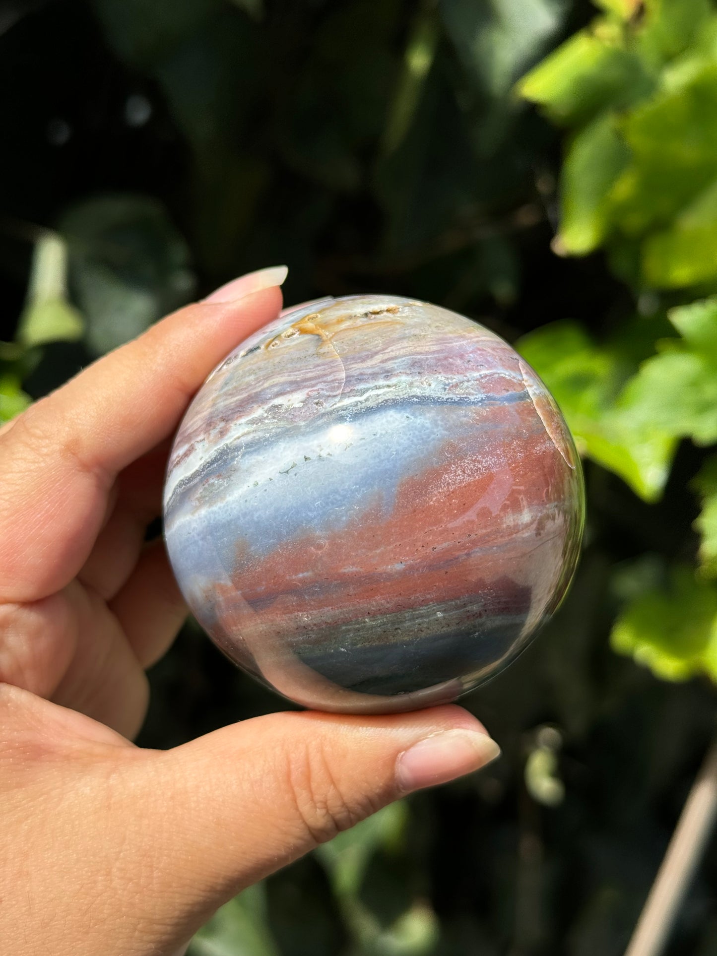 
                  
                    RESERVED LISTING - viv
                  
                