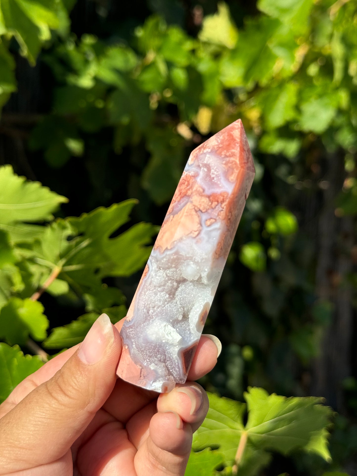 
                  
                    3/3 RESERVED LISTING - angeliqvixen_
                  
                