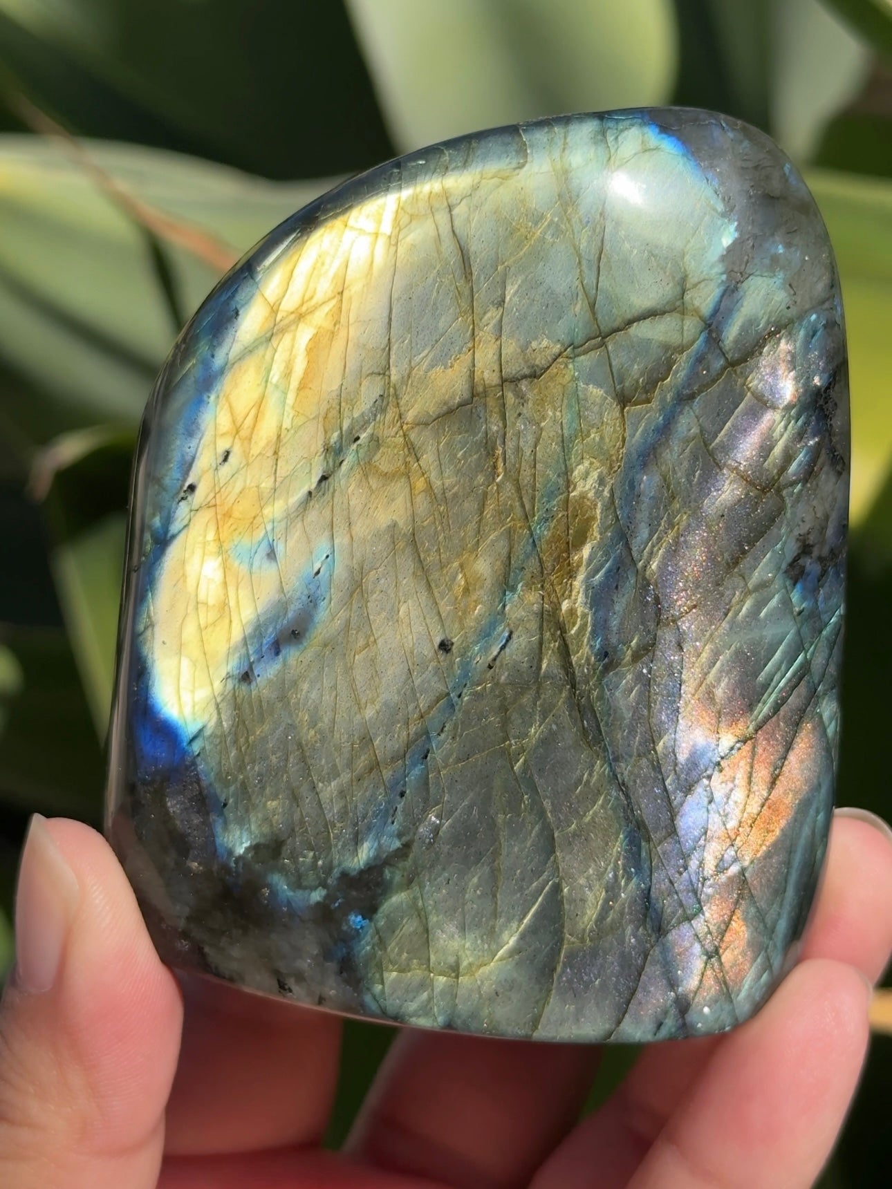 
                  
                    Labradorite Freeform
                  
                
