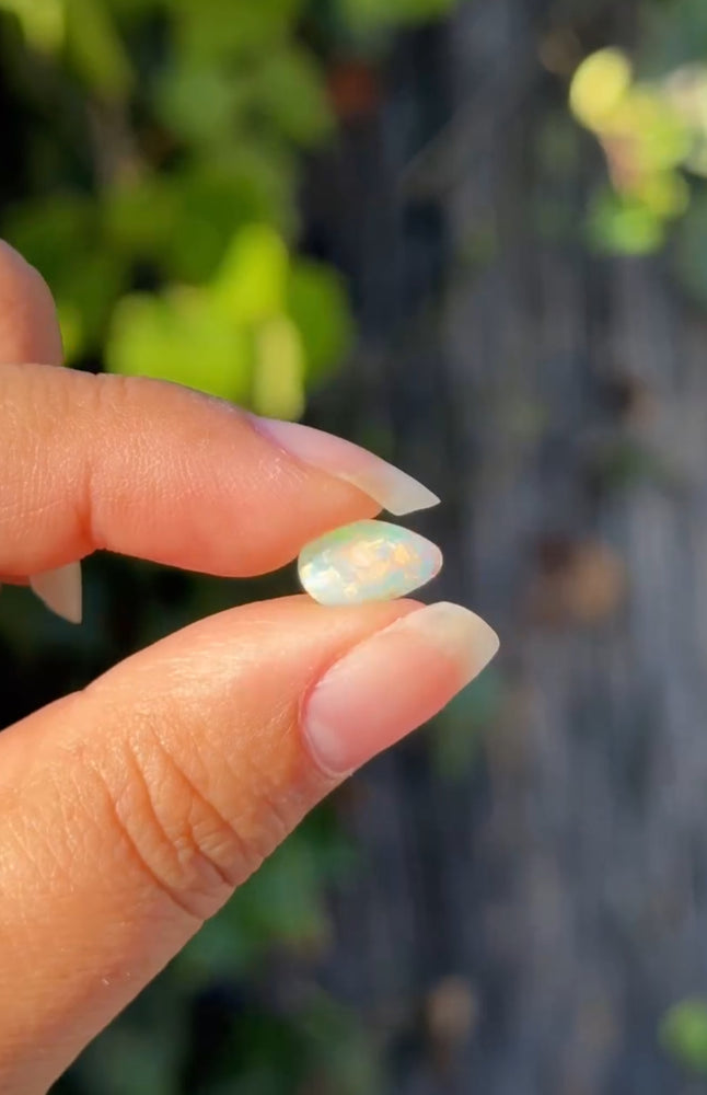 
                  
                    1/2 RESERVED LISTING - angeliqvixen_
                  
                