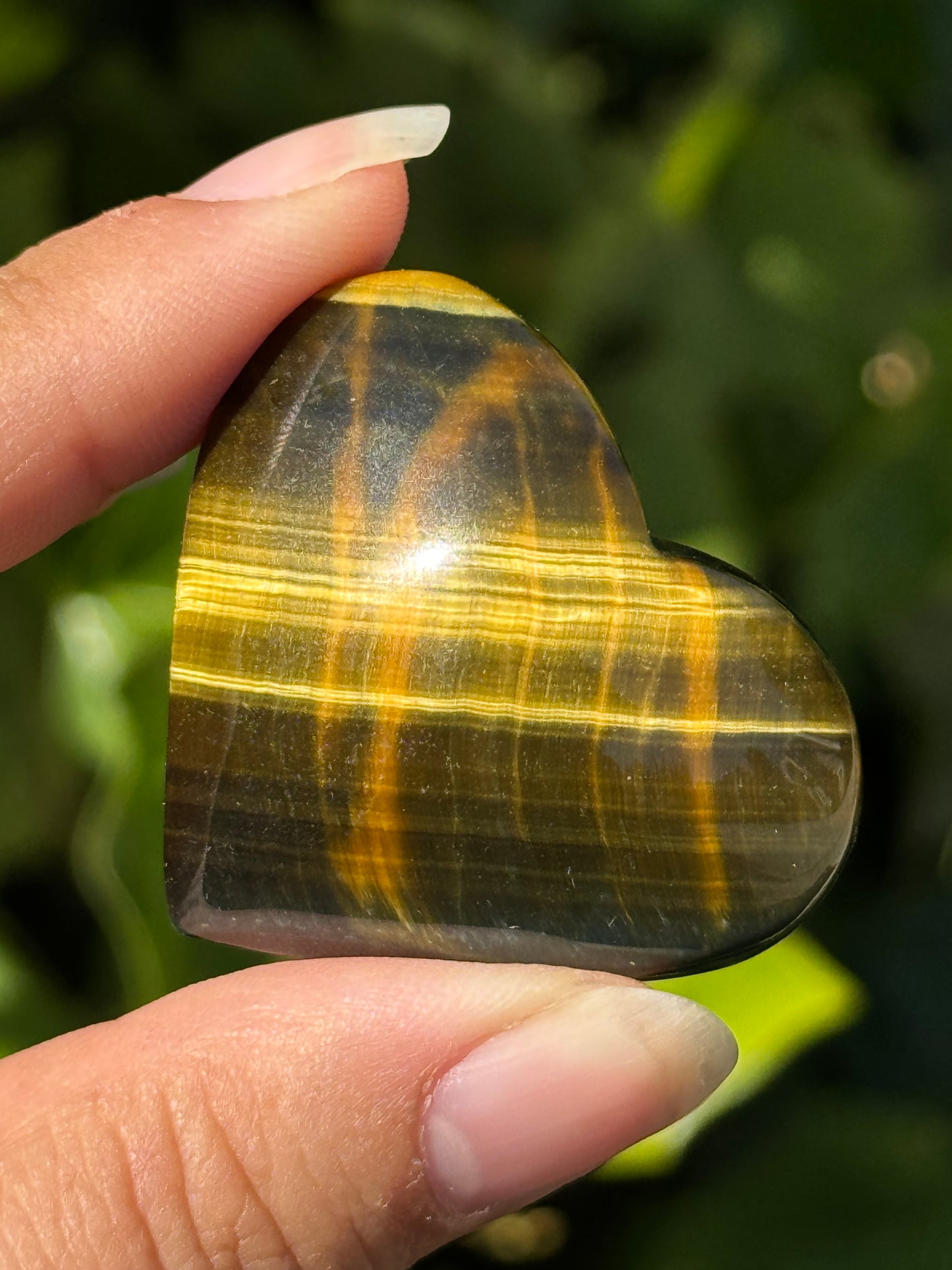 
                  
                    3/3 RESERVED LISTING - angeliqvixen_
                  
                