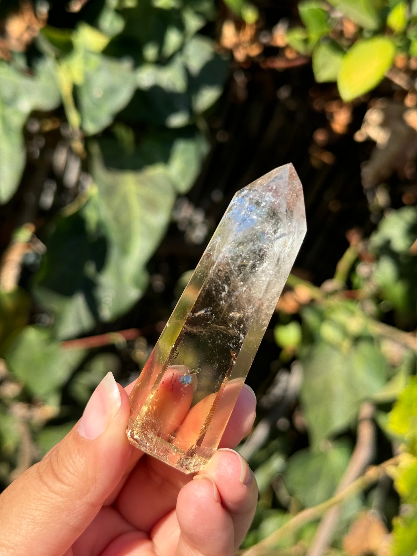 
                  
                    RESERVED LISTING - viv
                  
                