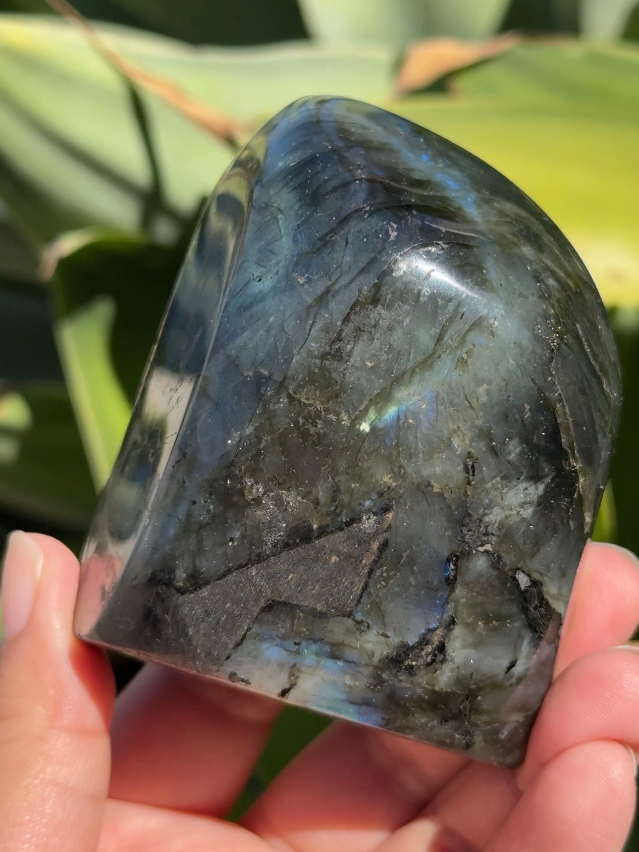 
                  
                    Labradorite Freeform
                  
                