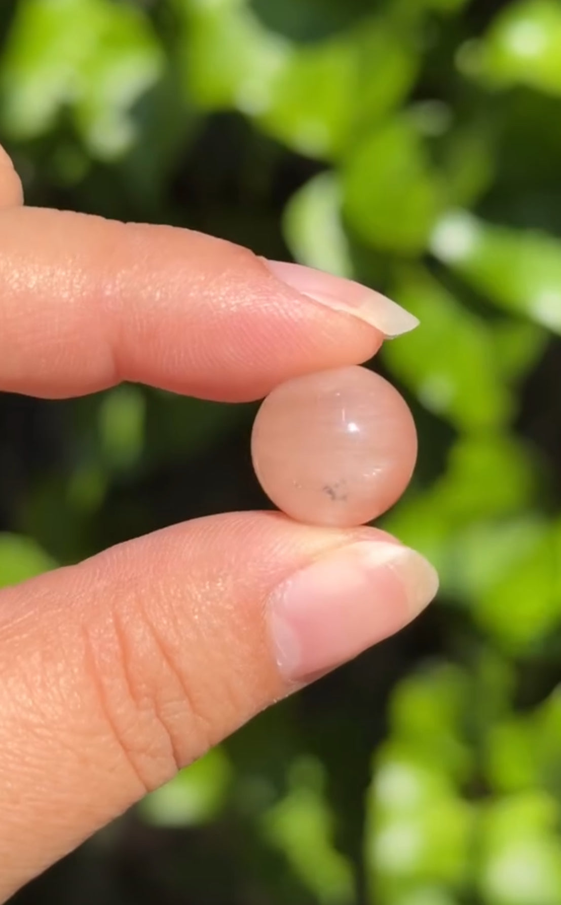 
                  
                    RESERVED LISTING - victoriajanina
                  
                