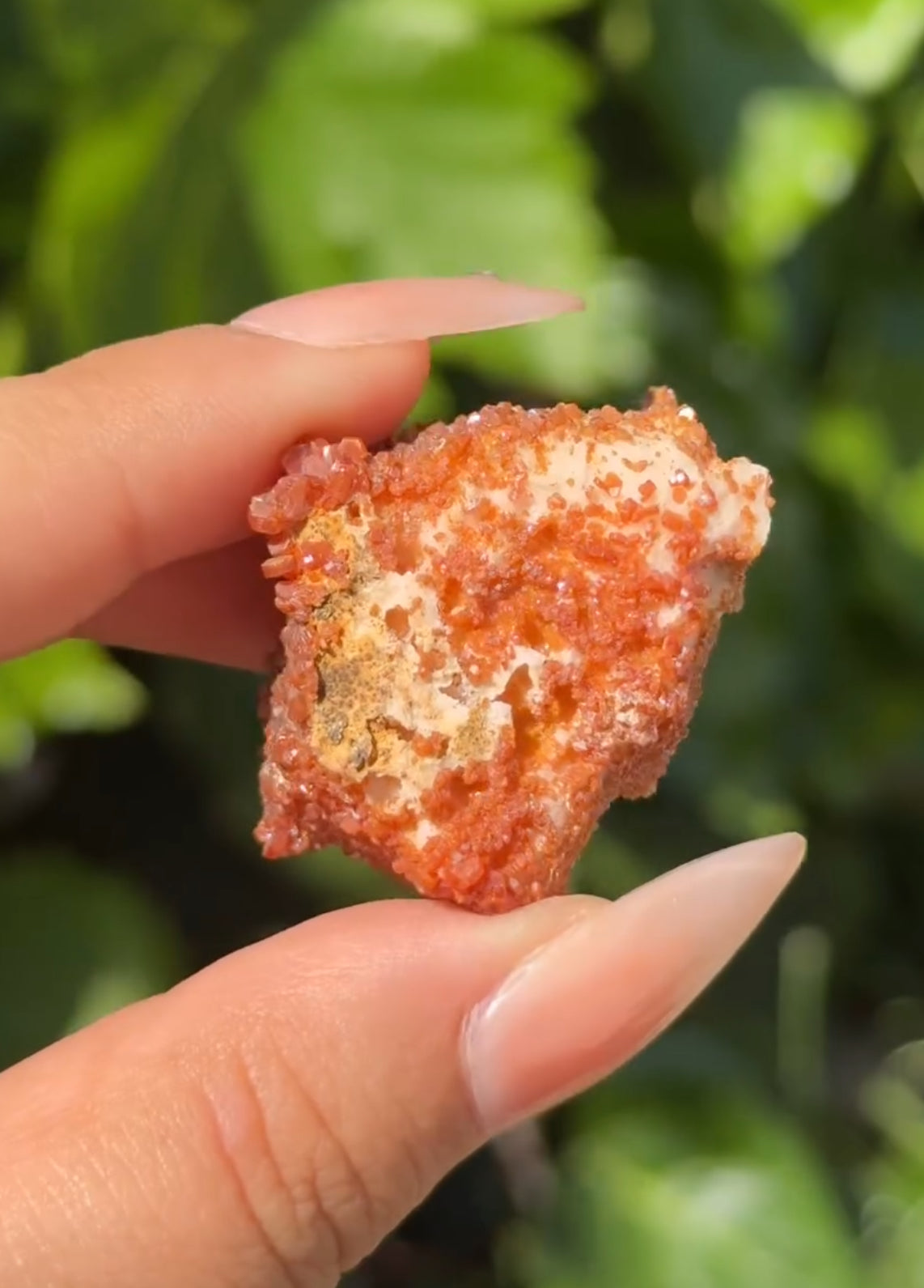 
                  
                    RESERVED LISTING - _designs_enchanted_
                  
                