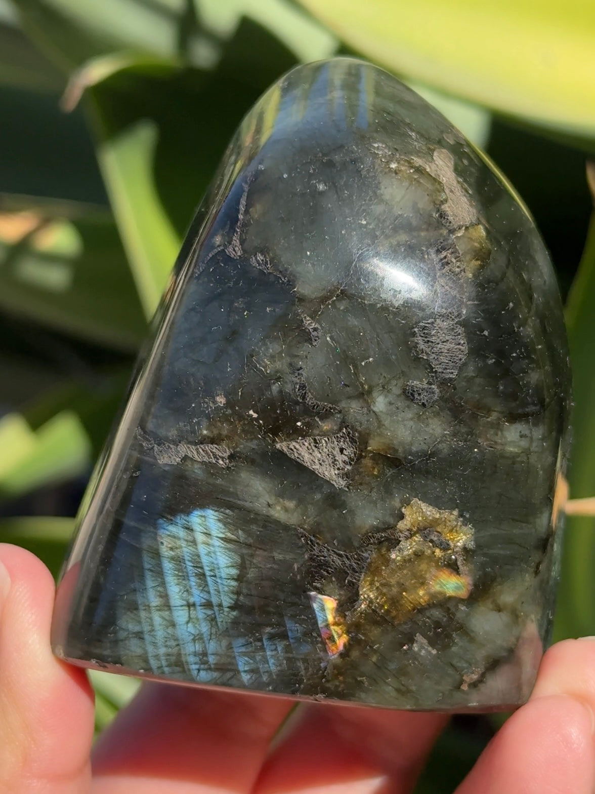 
                  
                    Labradorite Freeform
                  
                