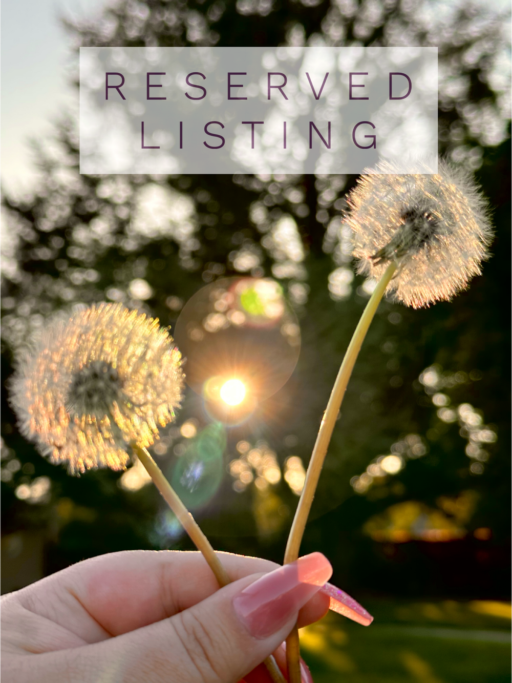 RESERVED LISTING - viv