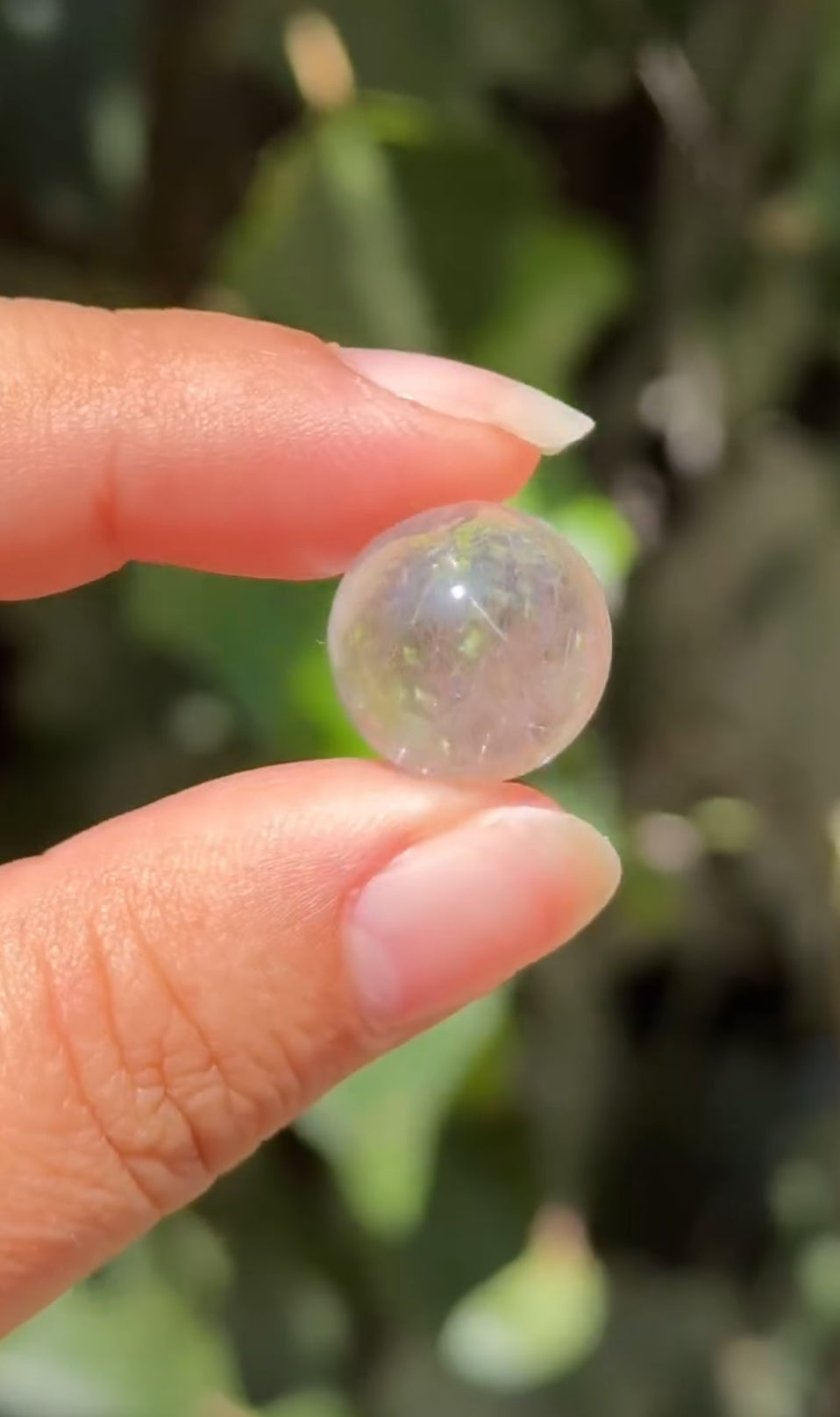 
                  
                    2/3 RESERVED LISTING - angeliqvixen_
                  
                