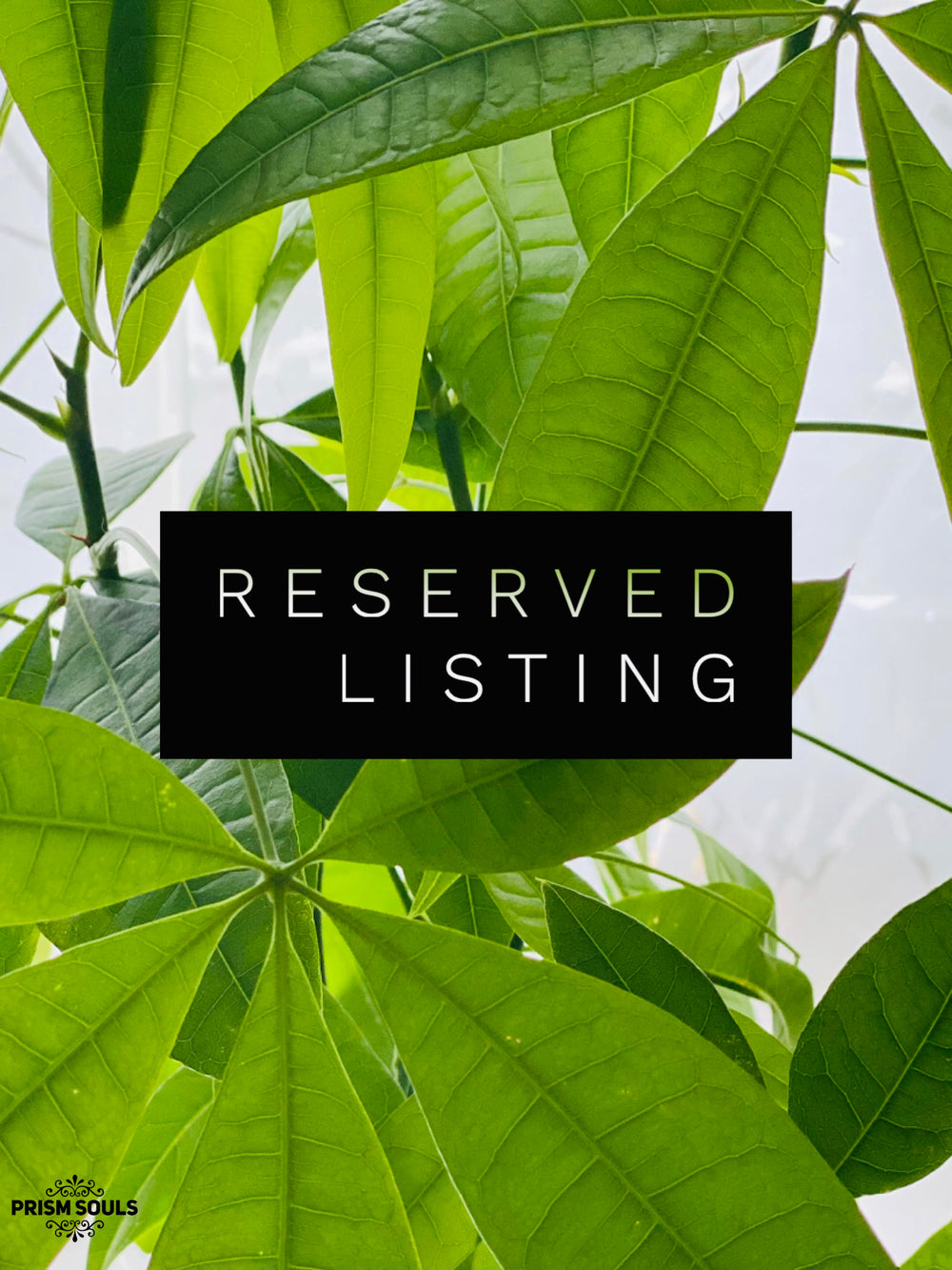 RESERVED LISTING - whimsy.wesley