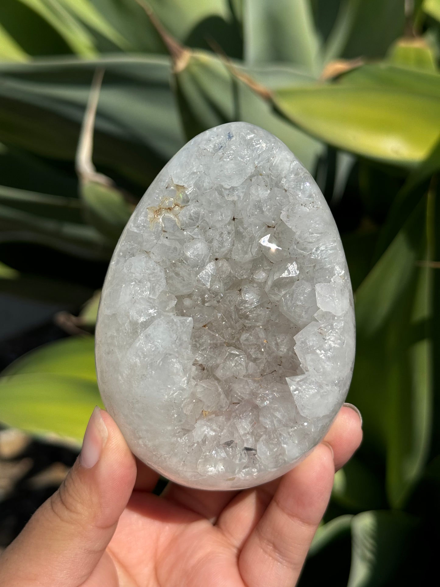 
                  
                    RESERVED LISTING - zombieboy69
                  
                