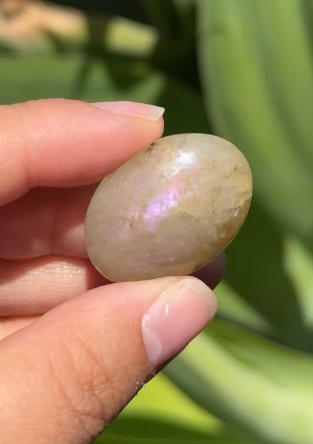 
                  
                    RESERVED LISTING - tashahaley
                  
                