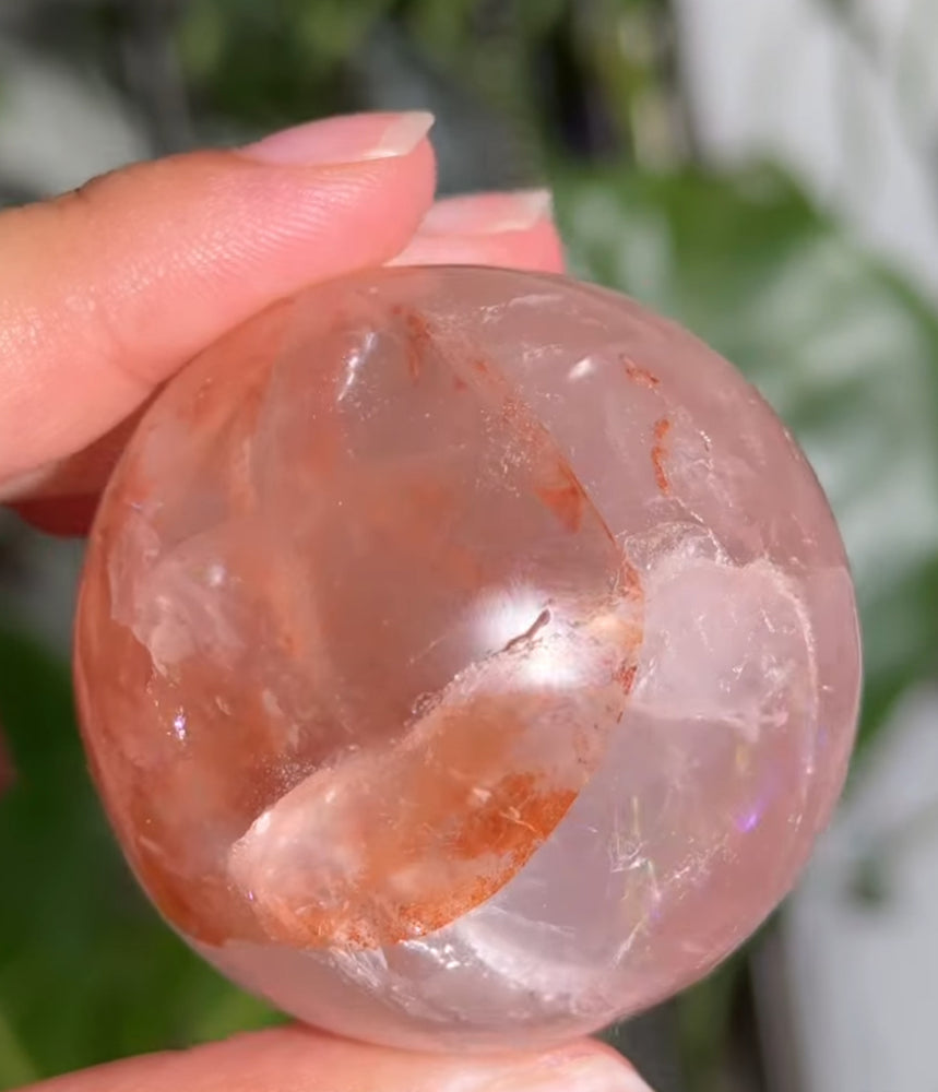 
                  
                    1/2 RESERVED LISTING - angeliqvixen_
                  
                