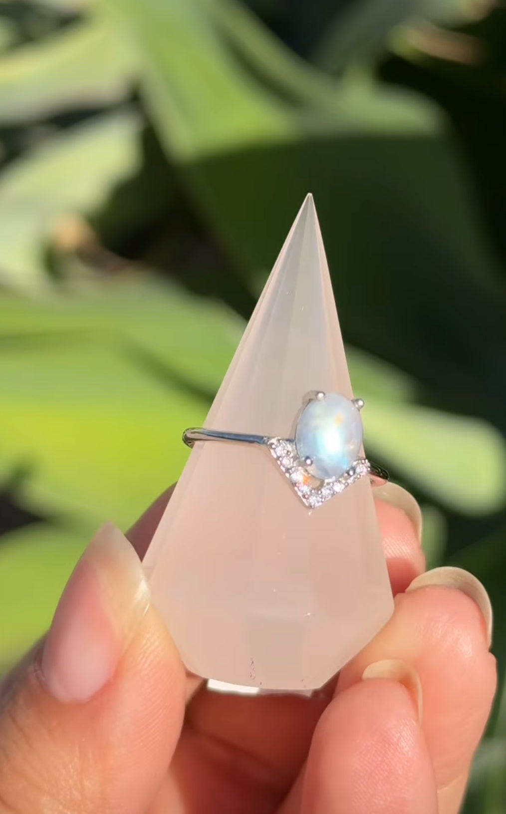 
                  
                    2/2 RESERVED LISTING - angeliqvixen_
                  
                