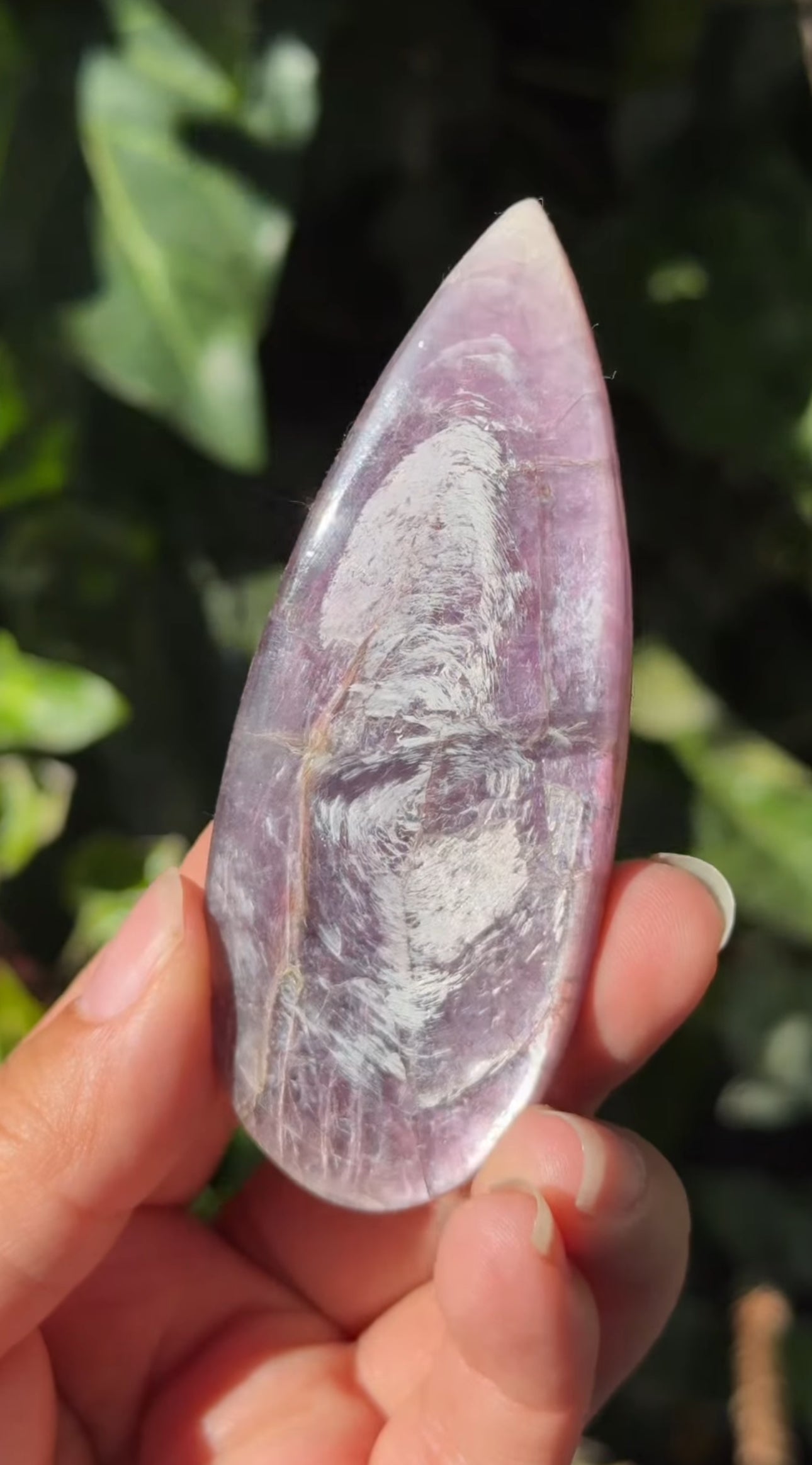 
                  
                    2/2 RESERVED LISTING - 7rings7sins
                  
                