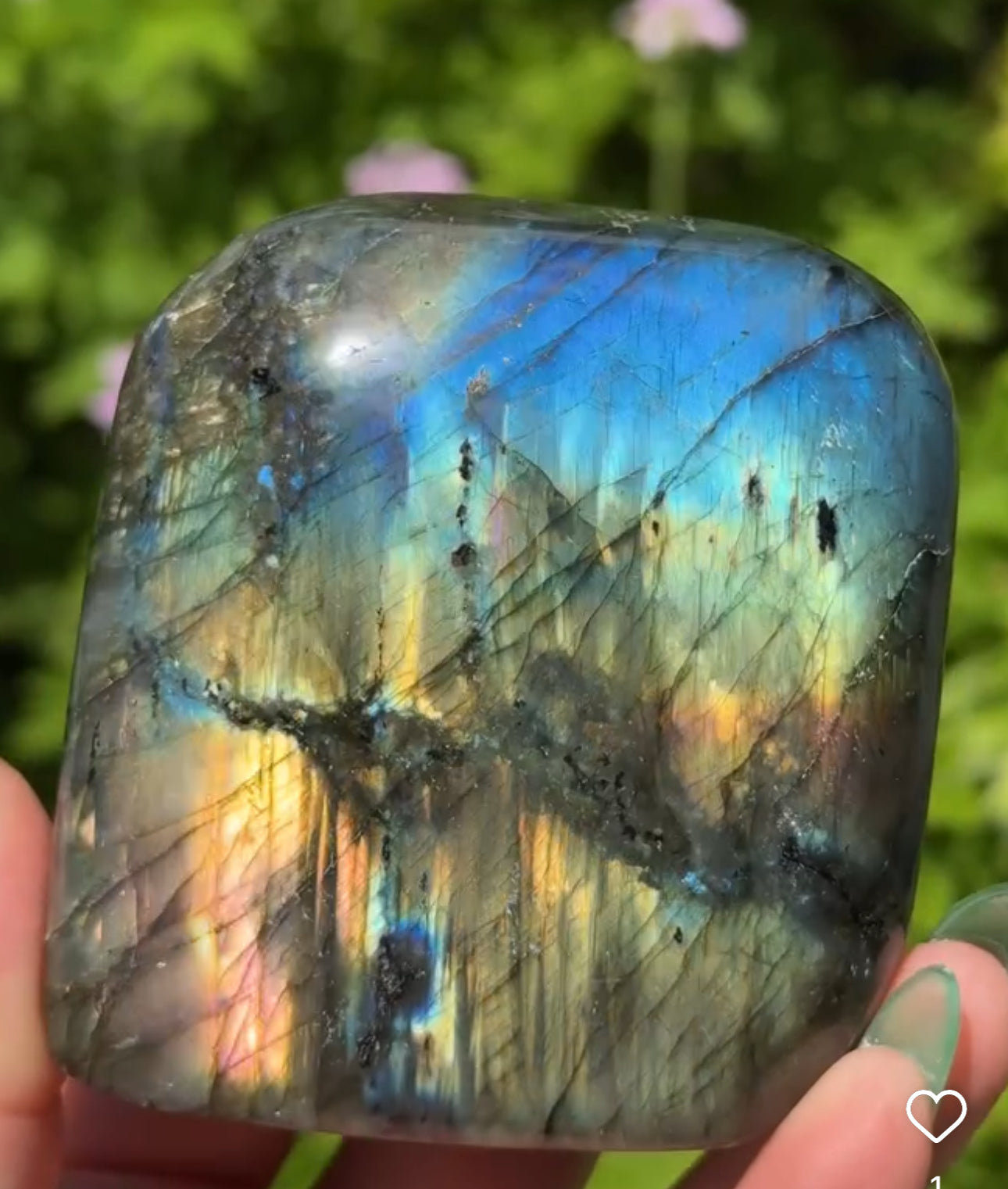 
                  
                    RESERVED LISTING - zombieboy69
                  
                