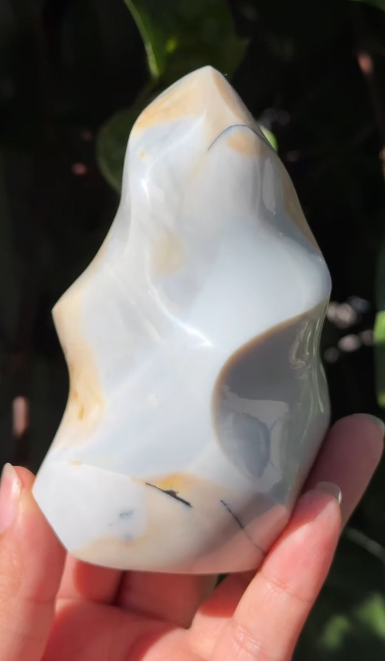 
                  
                    2/2 RESERVED LISTING - 7rings7sins
                  
                