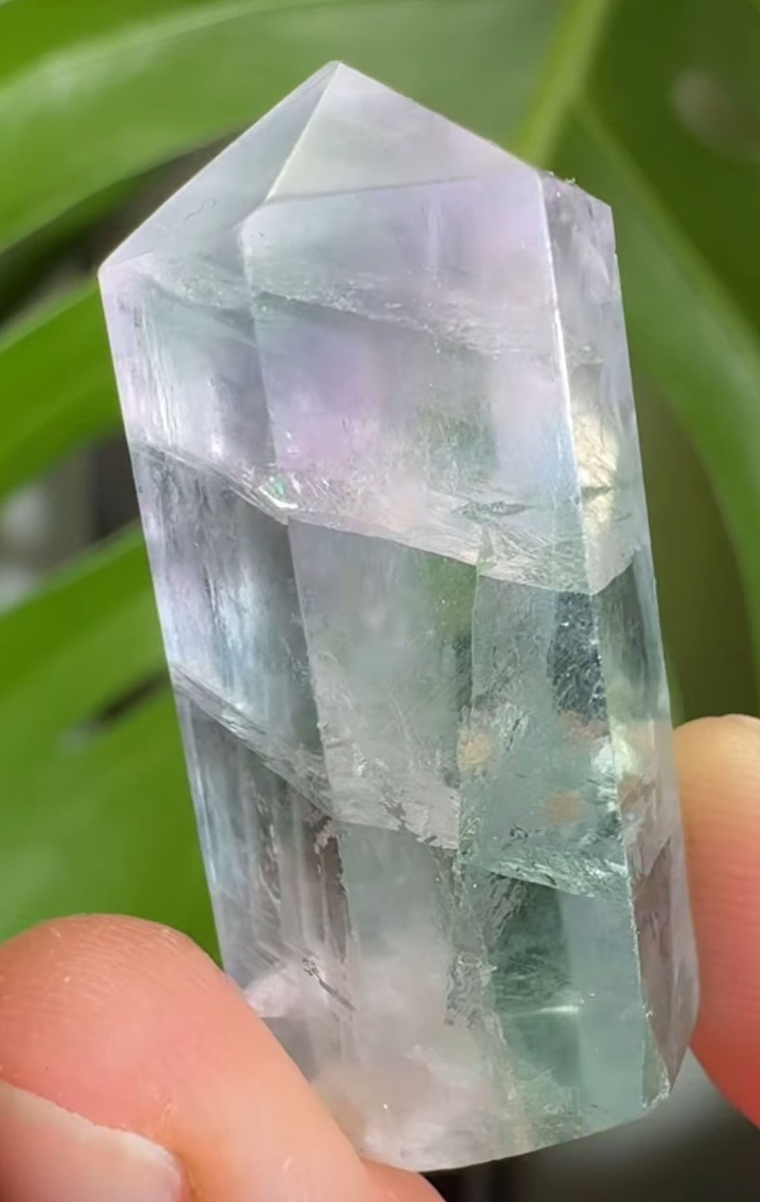 
                  
                    2/2 RESERVED LISTING - angeliqvixen_
                  
                