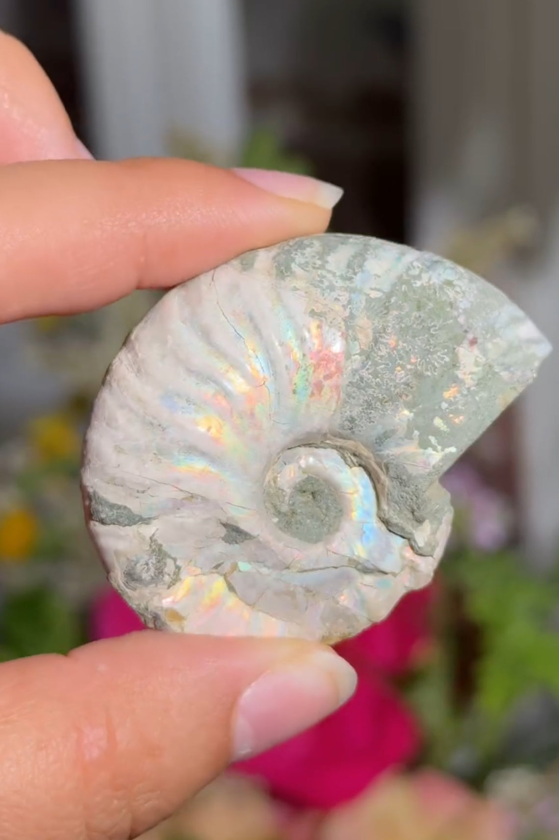 
                  
                    RESERVED LISTING - whimsy.wesley
                  
                