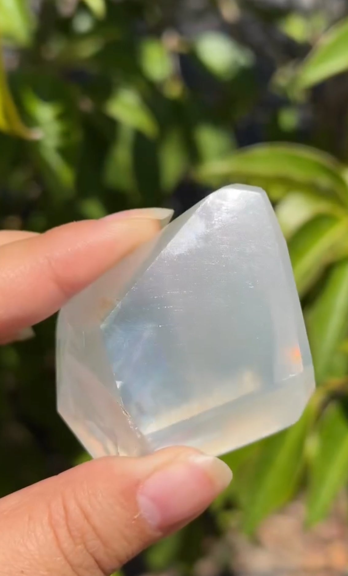 
                  
                    RESERVED LISTING - viv
                  
                