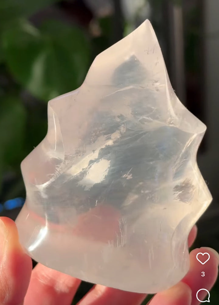 
                  
                    1/2 RESERVED LISTING - angeliqvixen_
                  
                