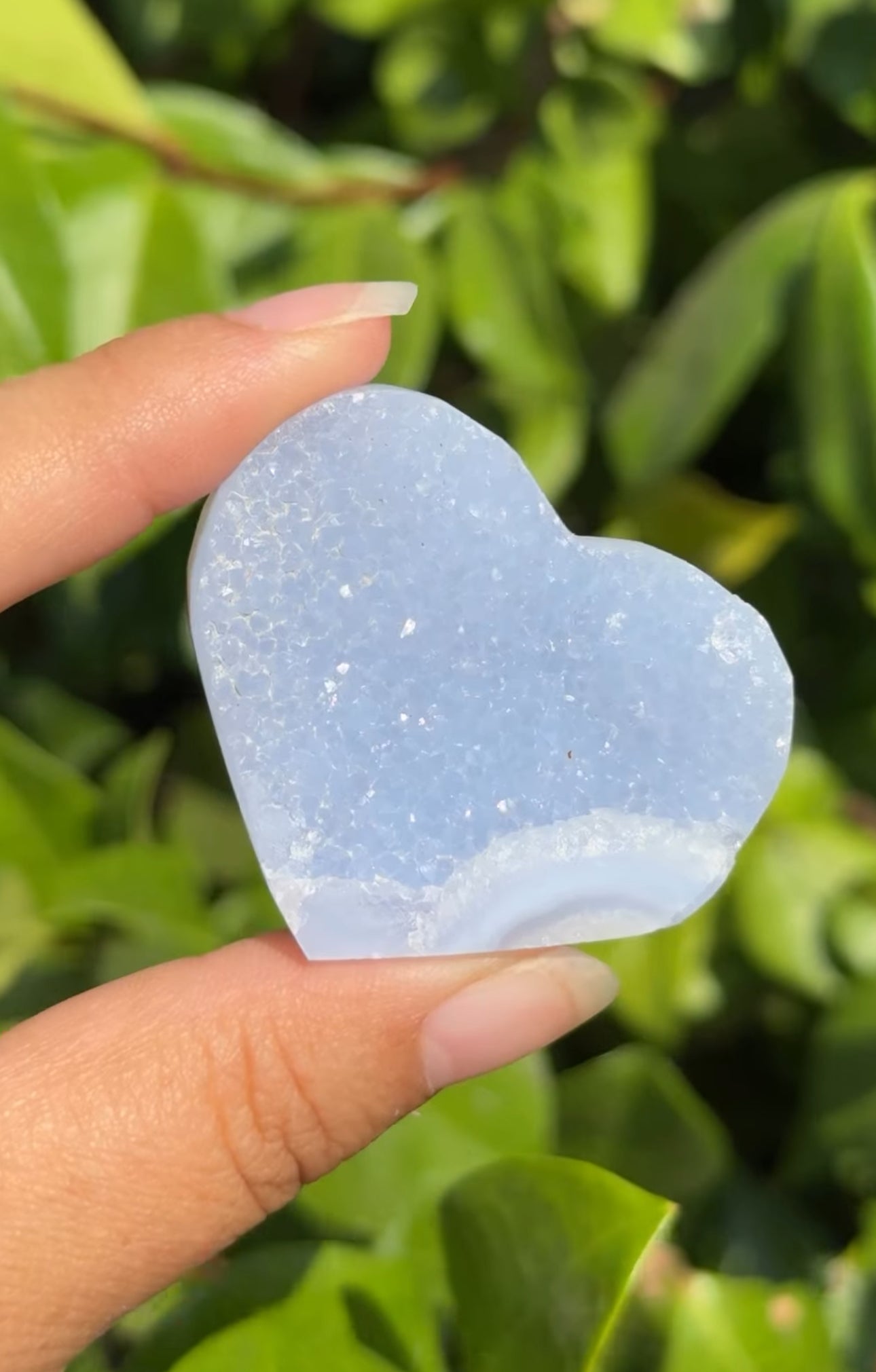 
                  
                    RESERVED LISTING - viv
                  
                