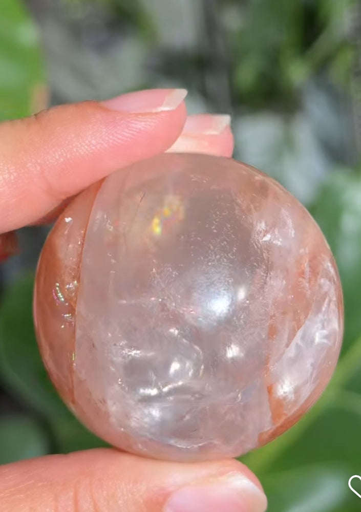 
                  
                    1/2 RESERVED LISTING - angeliqvixen_
                  
                