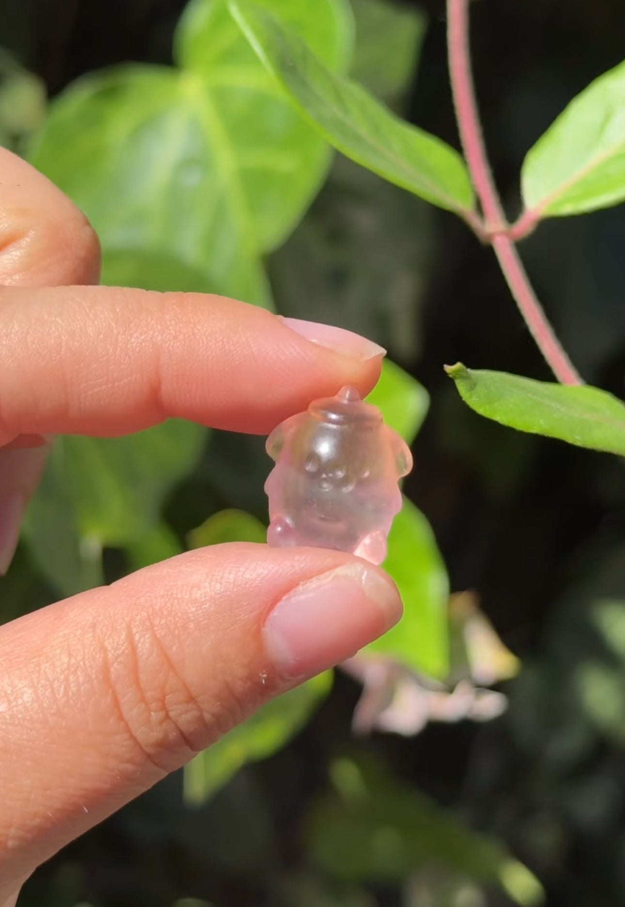 
                  
                    RESERVED LISTING - thewaters_and_thewild
                  
                