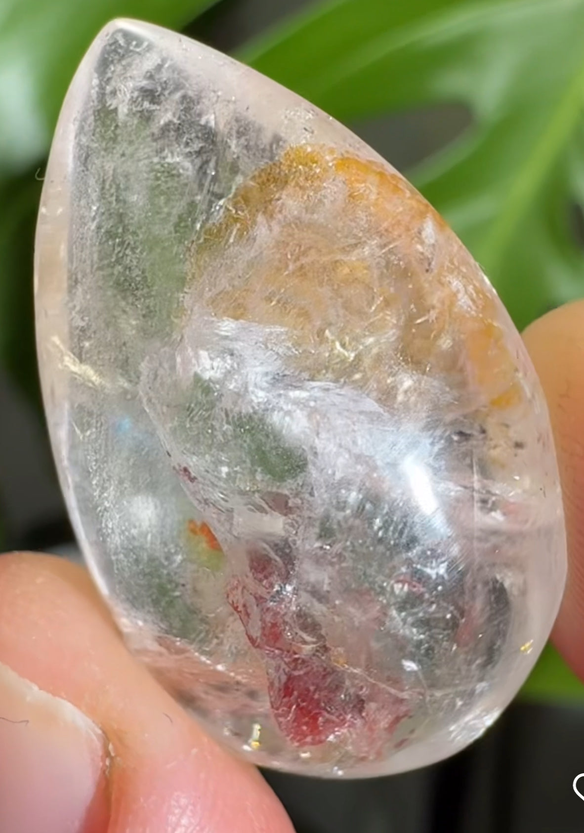 
                  
                    2/2 RESERVED LISTING - angeliqvixen_
                  
                