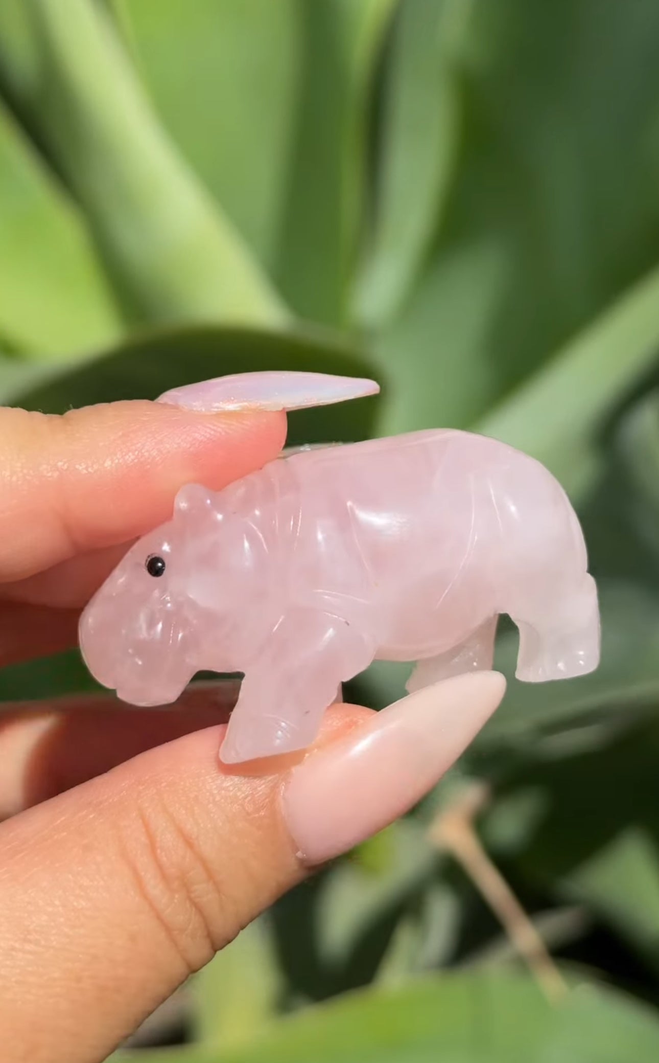 
                  
                    RESERVED LISTING - _crownut_
                  
                