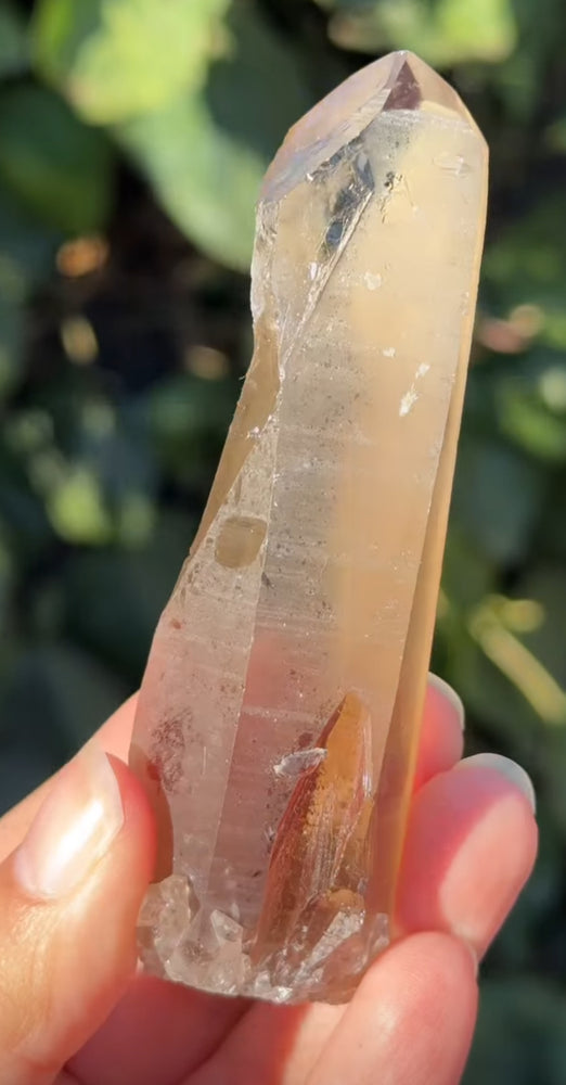 
                  
                    1/2 RESERVED LISTING - angeliqvixen_
                  
                