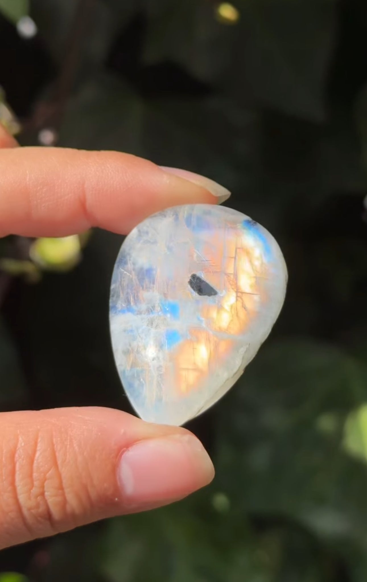 
                  
                    RESERVED LISTING - viv
                  
                