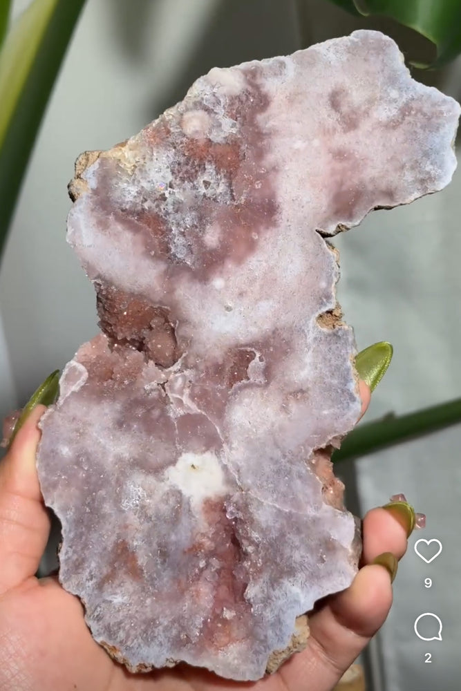 
                  
                    RESERVED LISTING - whimsy.wesley
                  
                