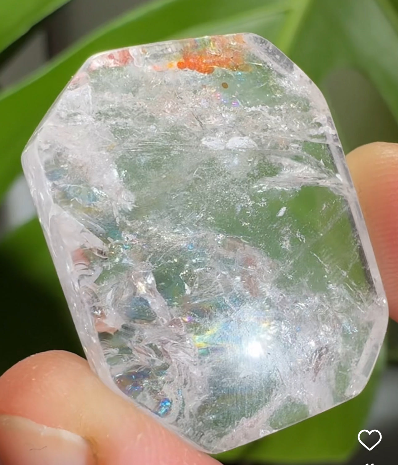 
                  
                    2/2 RESERVED LISTING - angeliqvixen_
                  
                