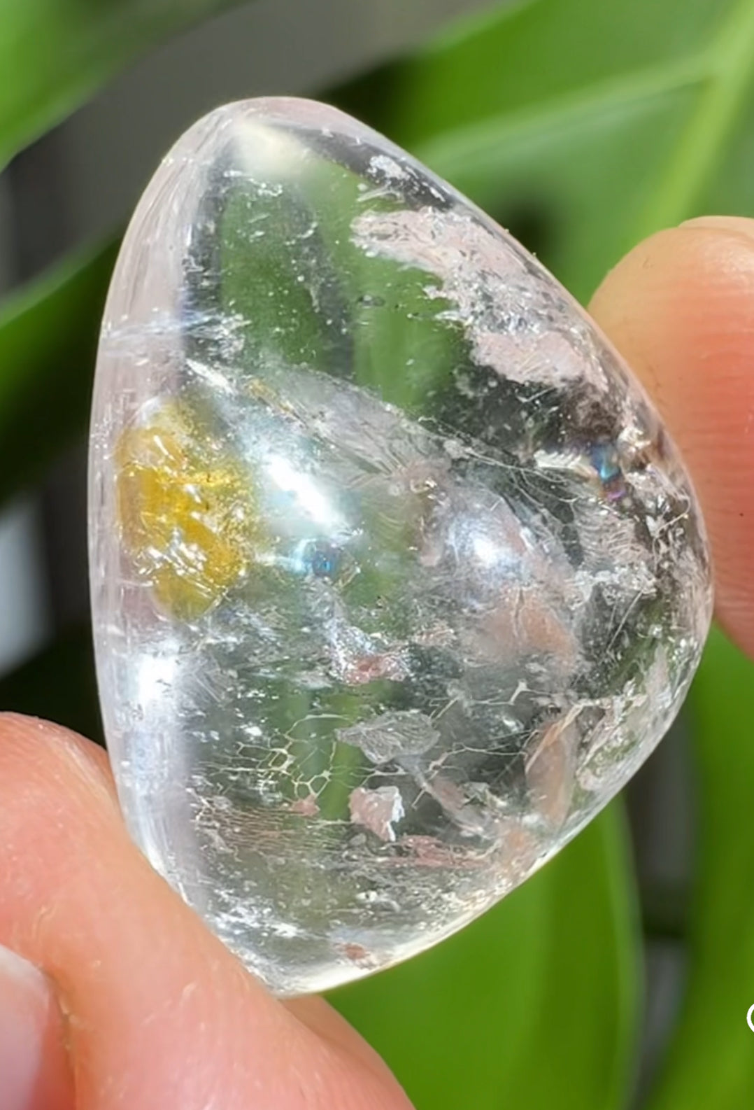 
                  
                    2/2 RESERVED LISTING - angeliqvixen_
                  
                