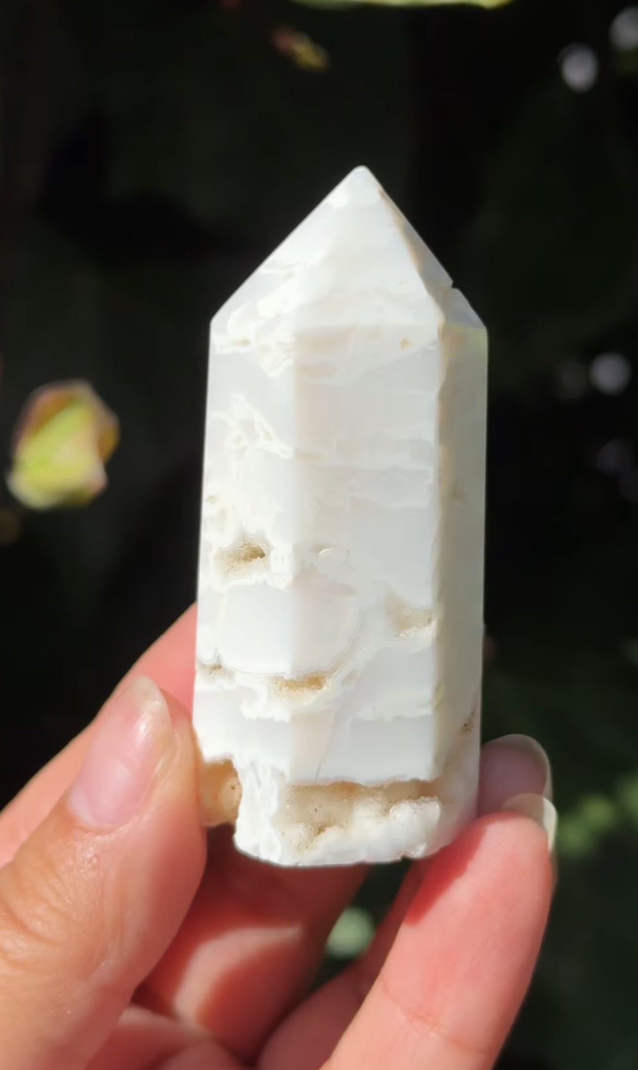 
                  
                    2/2 RESERVED LISTING - 7rings7sins
                  
                