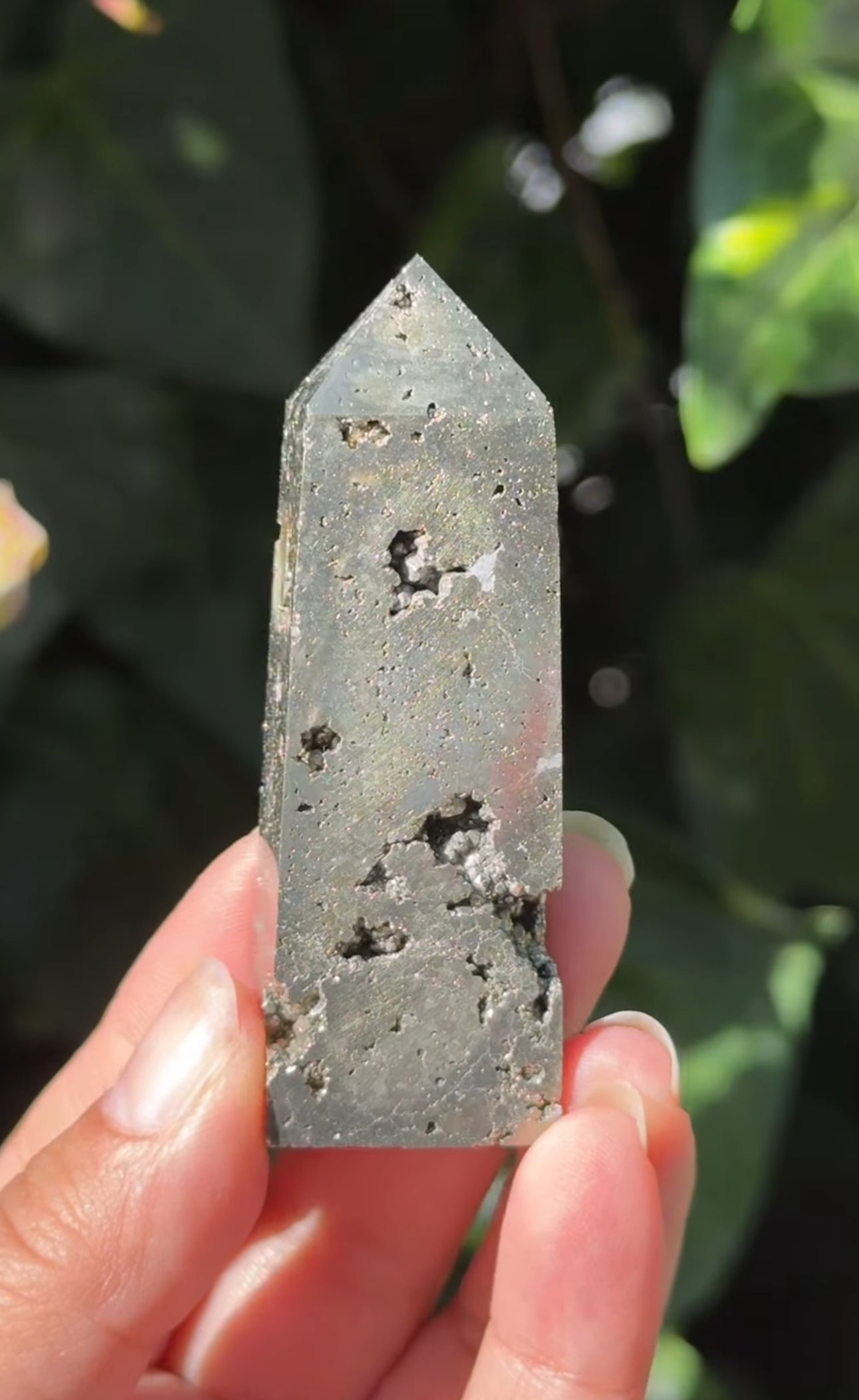 
                  
                    2/2 RESERVED LISTING - 7rings7sins
                  
                