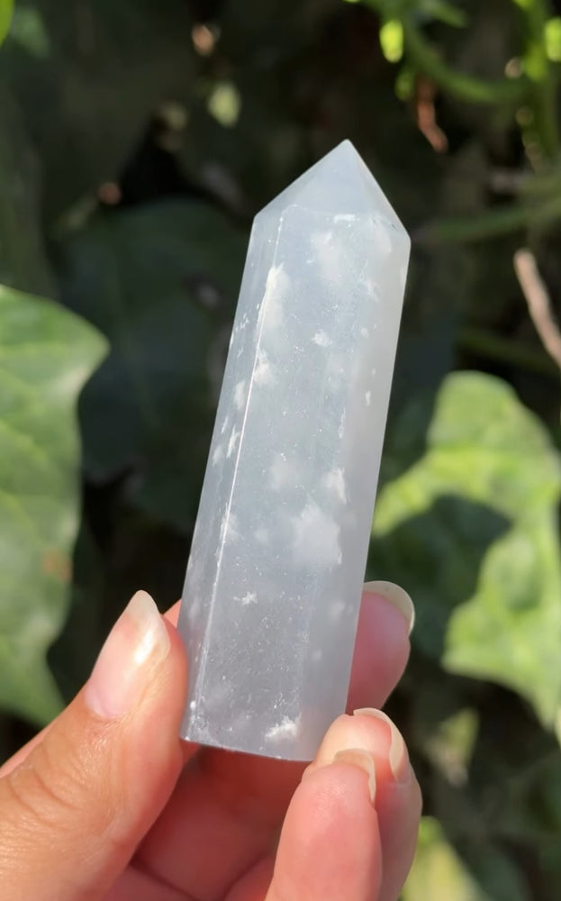 
                  
                    RESERVED LISTING - viv
                  
                