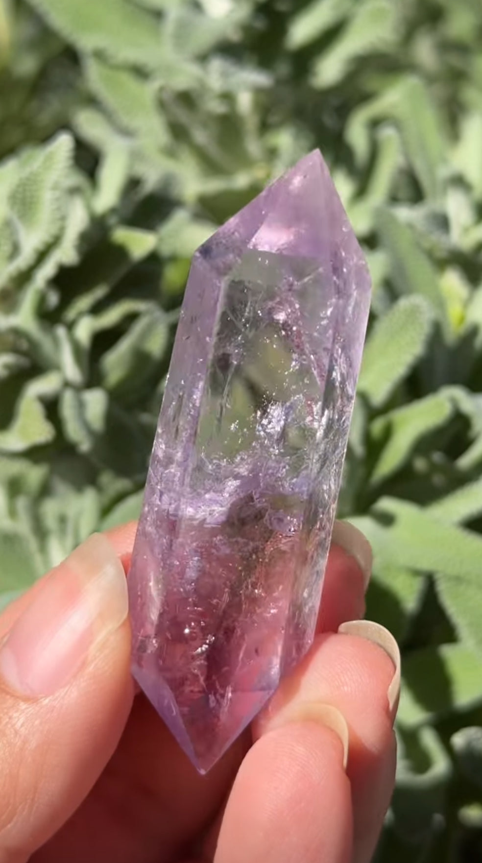 
                  
                    2/2 RESERVED LISTING - angeliqvixen_
                  
                