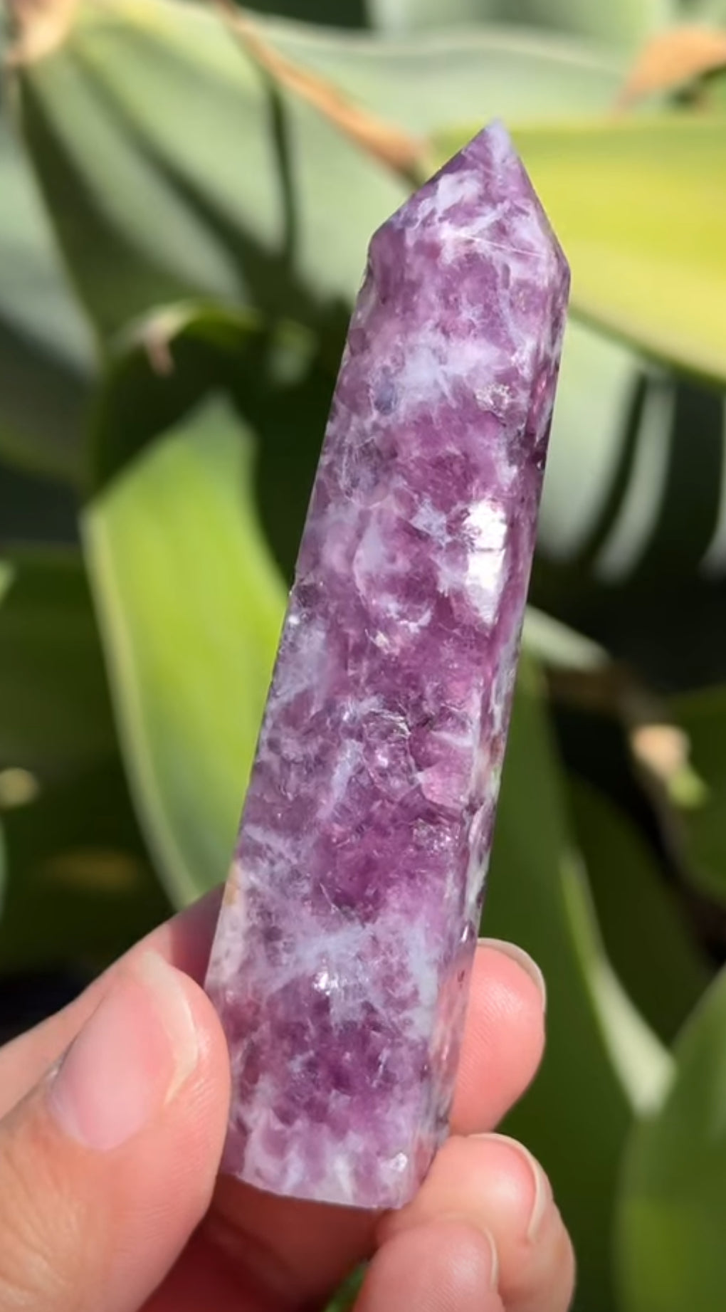 
                  
                    1/2 RESERVED LISTING - angeliqvixen_
                  
                