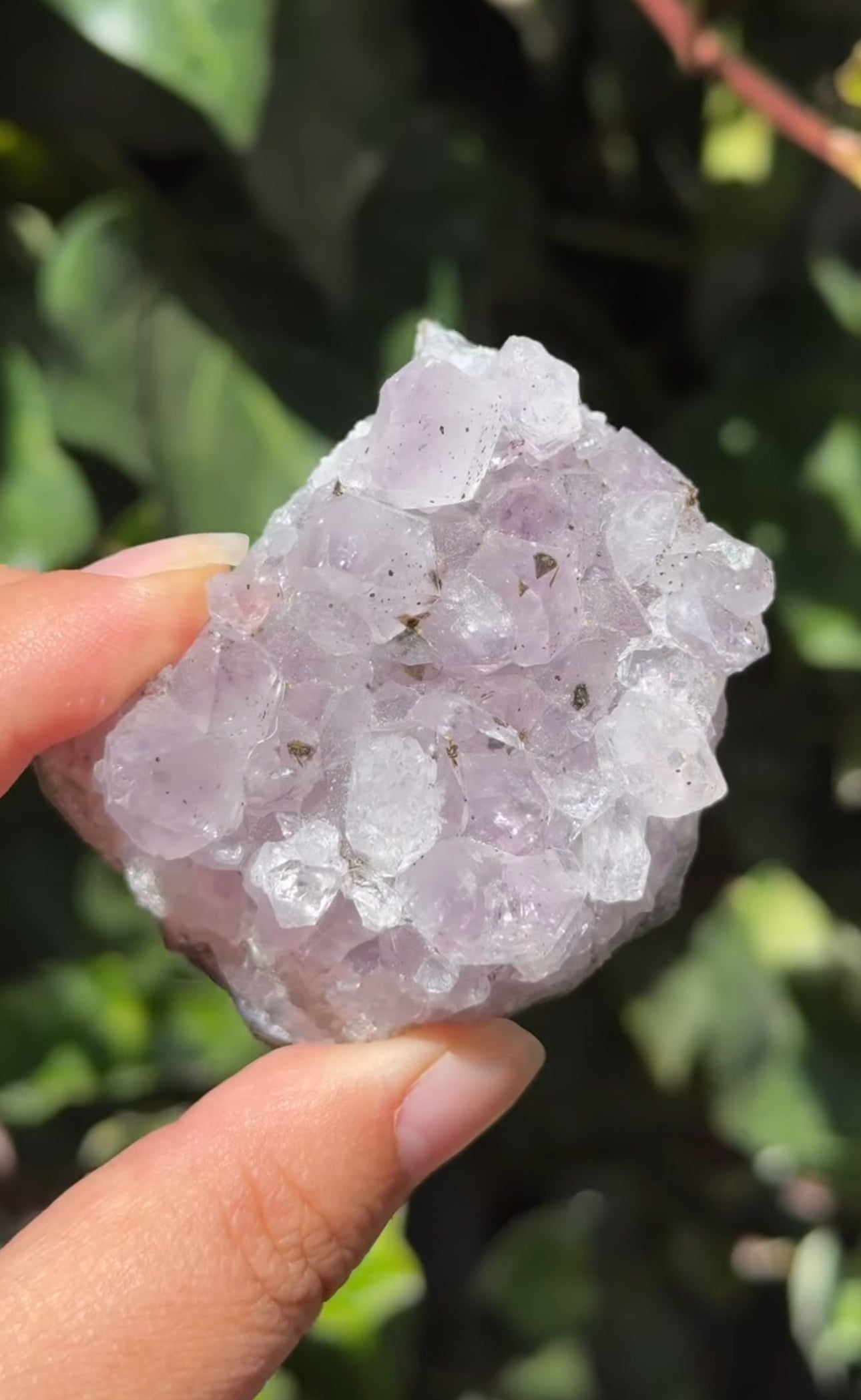 
                  
                    2/2 RESERVED LISTING - 7rings7sins
                  
                